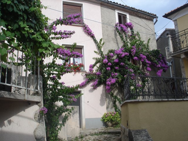 Apartment Merikanić - Beli, Cres (2 + 1)